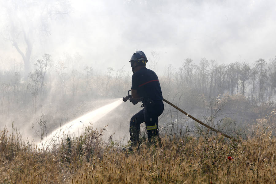Fotos: Nuevo incendio por pelusas en la darsena del canal