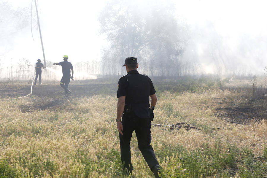 Fotos: Nuevo incendio por pelusas en la darsena del canal
