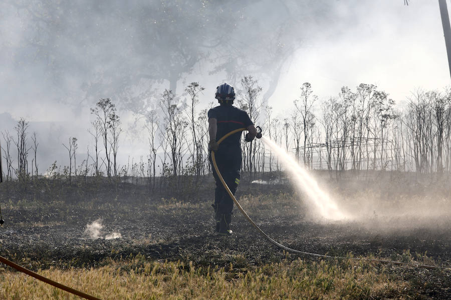 Fotos: Nuevo incendio por pelusas en la darsena del canal