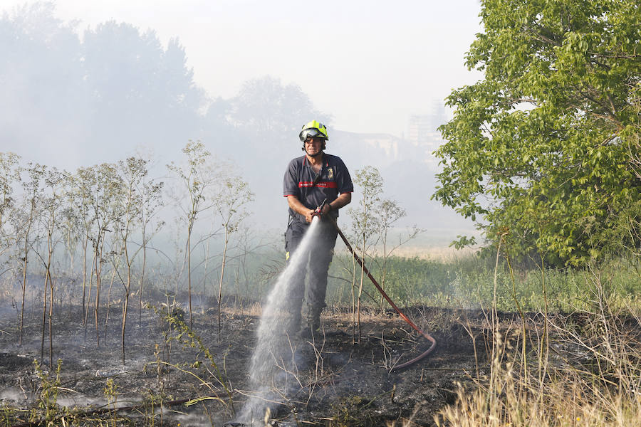 Fotos: Nuevo incendio por pelusas en la darsena del canal