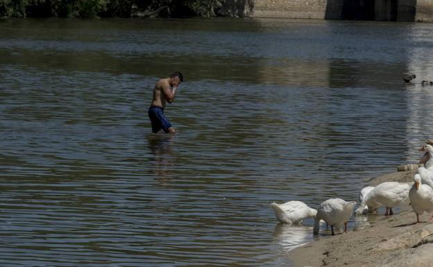 Un hombre se refresca en el Pisuerga el pasado fin de semana, cuando Valladolid rozó los 34 grados. 