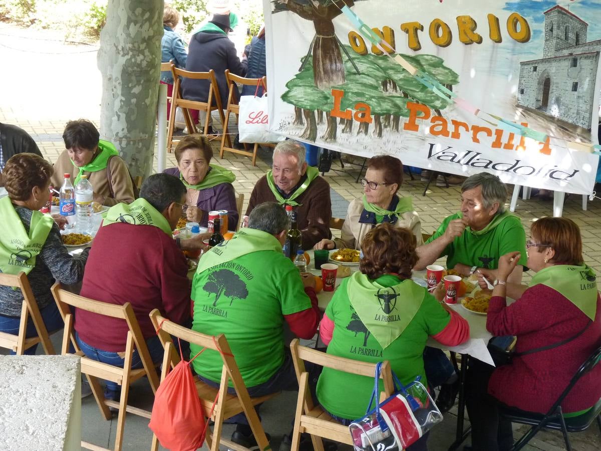 Es la edición número 26 de una cita que, todas las primaveras, reúne a cientos de mayores (en esta, 609) en una cita festiva que, además, sirve para reivindicar el papel que juegan los mayores en el medio rural