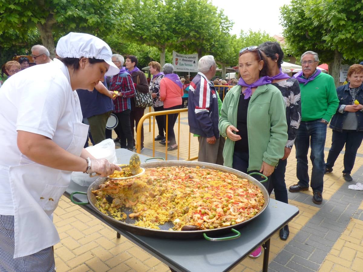 Es la edición número 26 de una cita que, todas las primaveras, reúne a cientos de mayores (en esta, 609) en una cita festiva que, además, sirve para reivindicar el papel que juegan los mayores en el medio rural