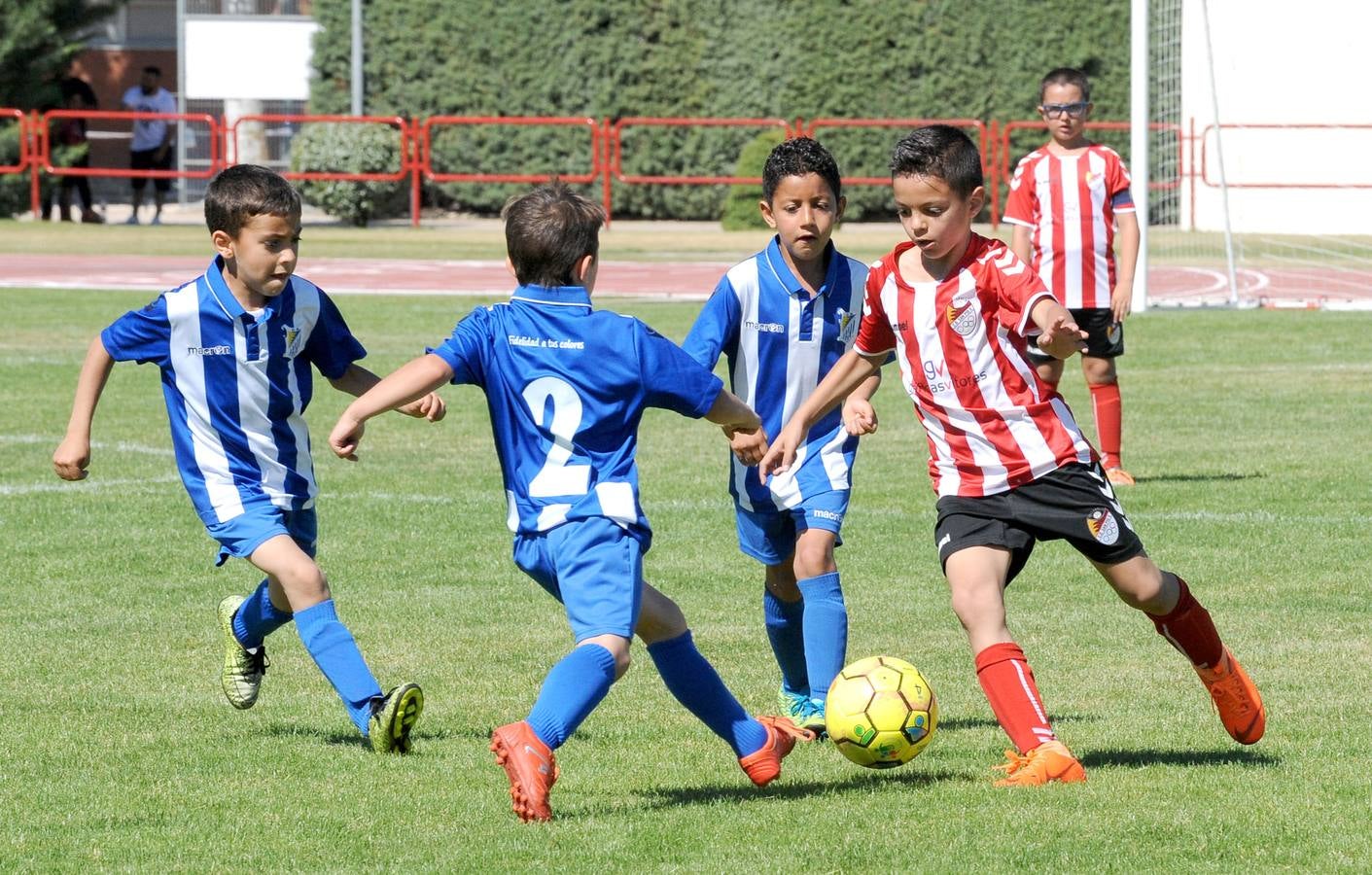 Fotos: Deporte Base del 1 y 2 de junio. Valladolid (2/2)