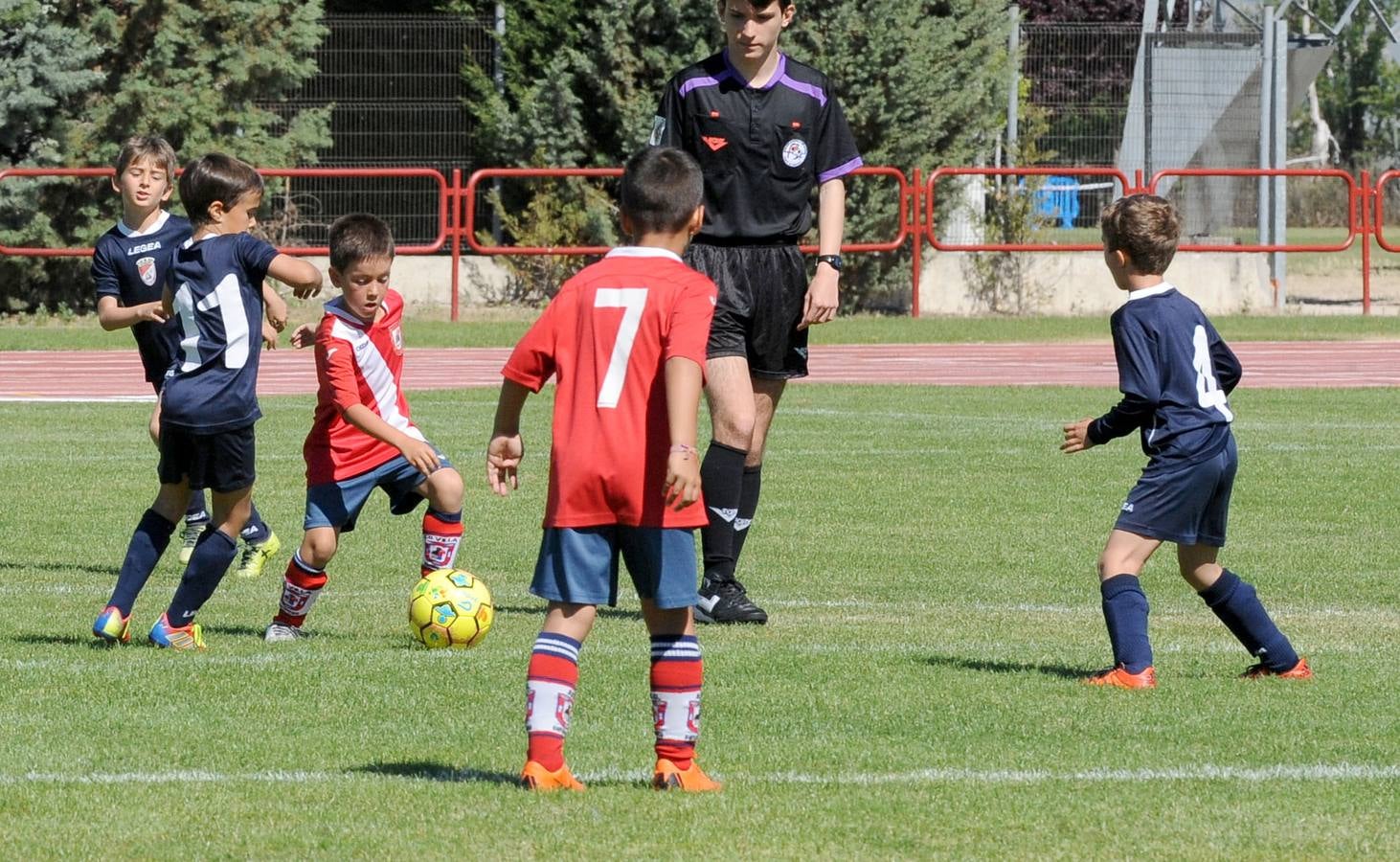 Fotos: Deporte Base del 1 y 2 de junio. Valladolid (2/2)