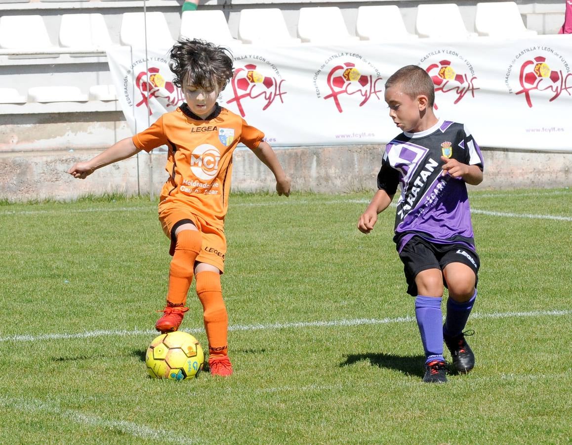 Fotos: Deporte Base del 1 y 2 de junio. Valladolid (2/2)