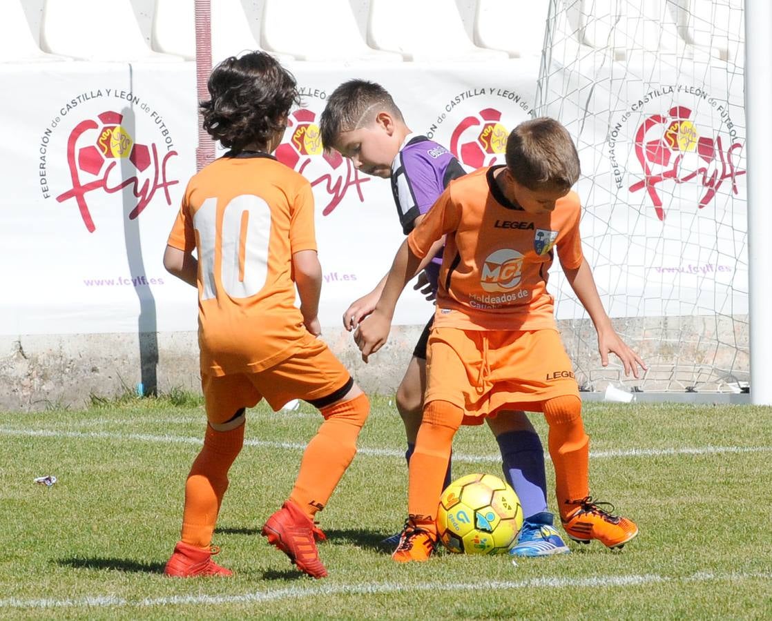 Fotos: Deporte Base del 1 y 2 de junio. Valladolid (2/2)