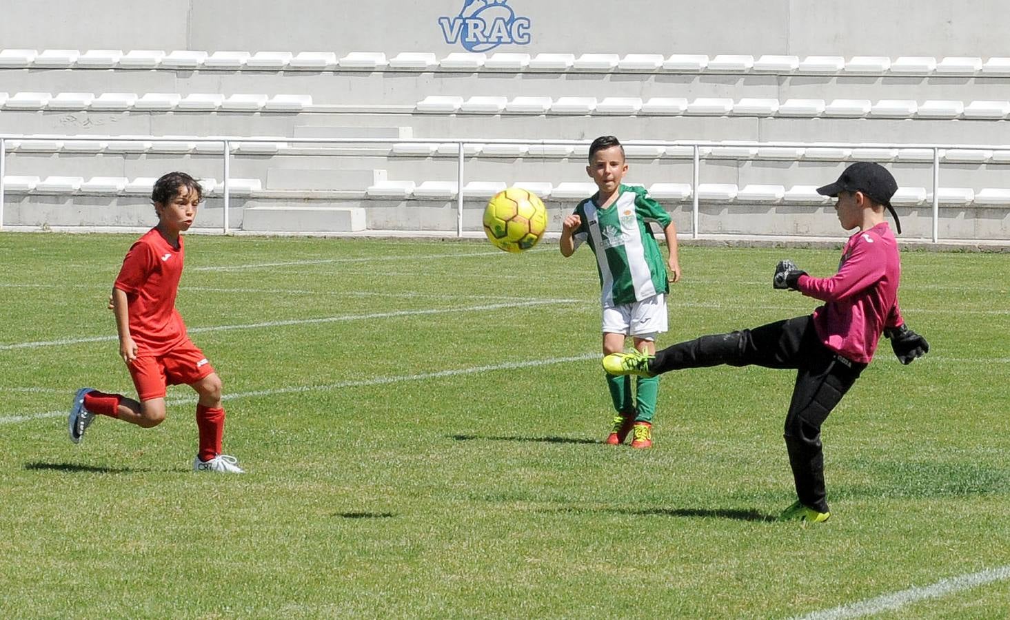 Fotos: Deporte Base del 1 y 2 de junio. Valladolid (2/2)