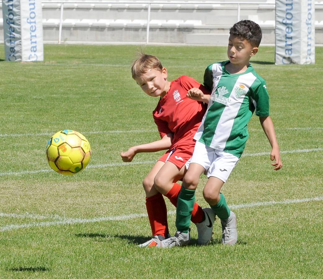 Fotos: Deporte Base del 1 y 2 de junio. Valladolid (2/2)