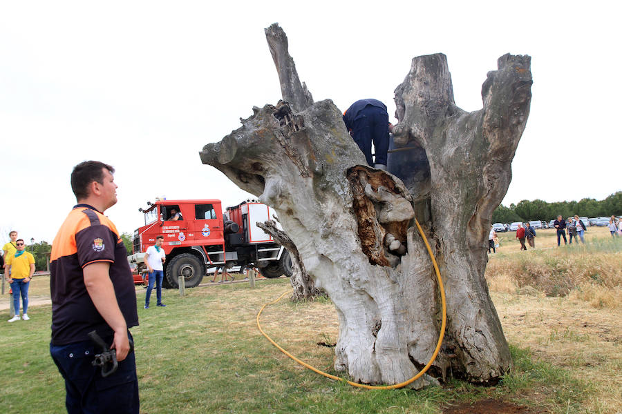 Fotos: Romería del Bustar