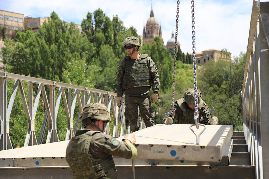 Fotos: Exhibición militar en Salamanca en el día de las Fuerzas Armadas (1/2)