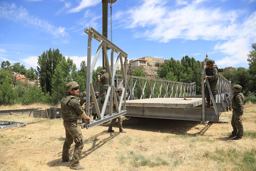 Fotos: Exhibición militar en Salamanca en el día de las Fuerzas Armadas (2/2)