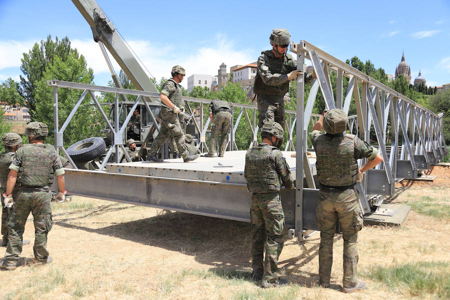 Fotos: Exhibición militar en Salamanca en el día de las Fuerzas Armadas (2/2)