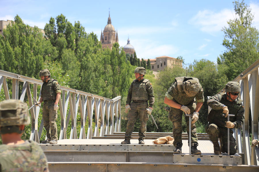 Fotos: Exhibición militar en Salamanca en el día de las Fuerzas Armadas (2/2)