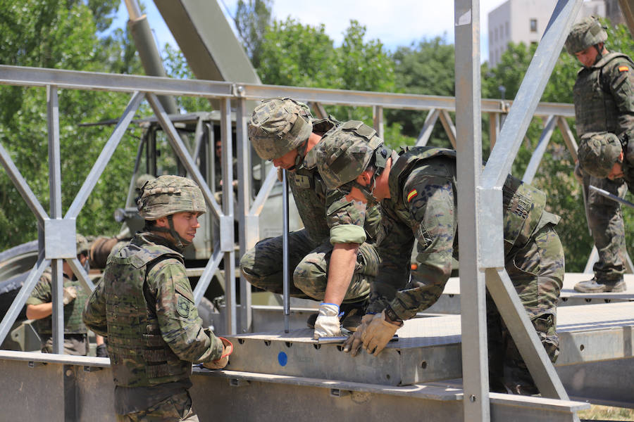 Fotos: Exhibición militar en Salamanca en el día de las Fuerzas Armadas (2/2)