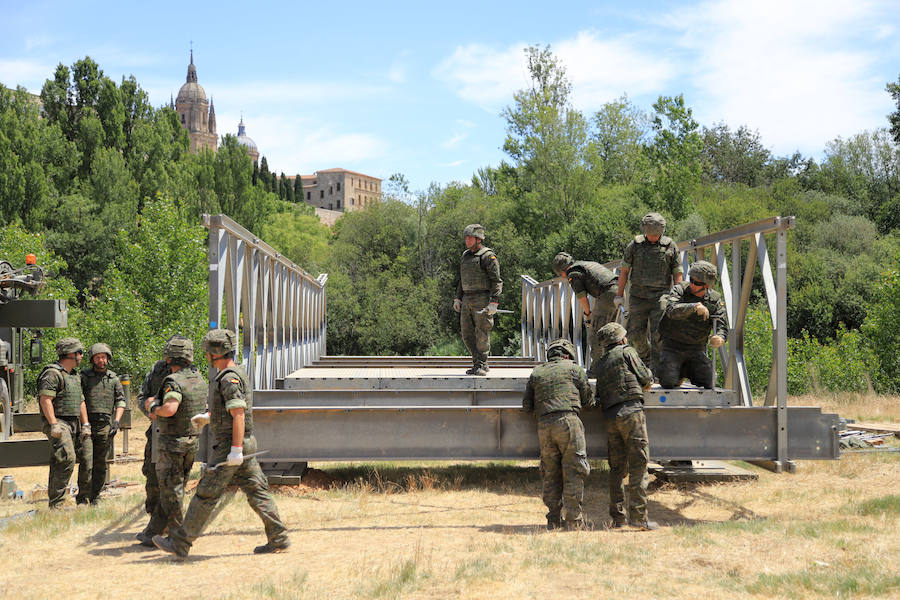 Fotos: Exhibición militar en Salamanca en el día de las Fuerzas Armadas (2/2)