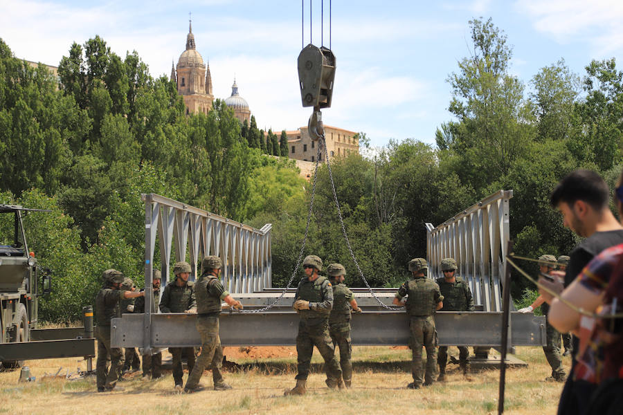 Fotos: Exhibición militar en Salamanca en el día de las Fuerzas Armadas (2/2)