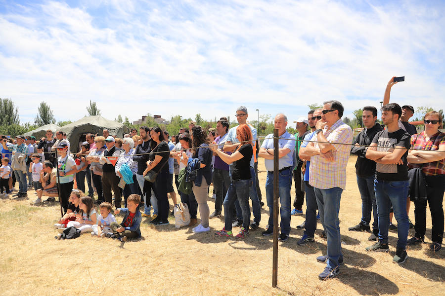 Fotos: Exhibición militar en Salamanca en el día de las Fuerzas Armadas (2/2)