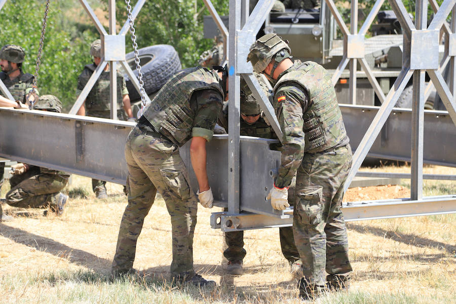 Fotos: Exhibición militar en Salamanca en el día de las Fuerzas Armadas (2/2)