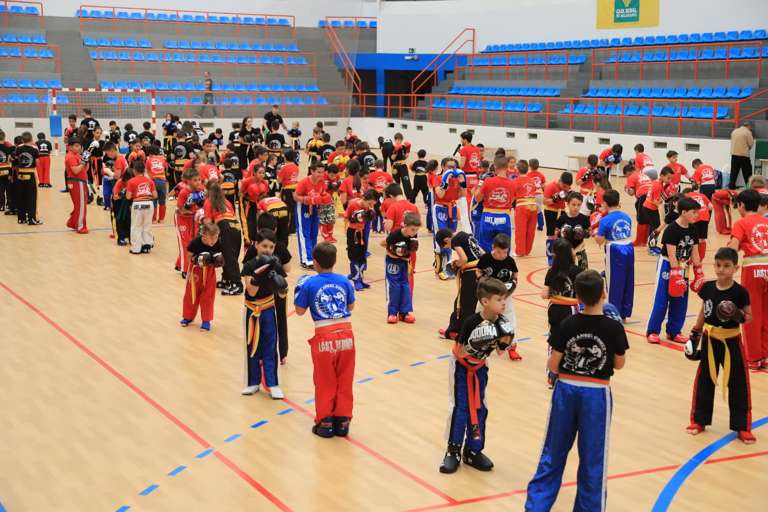 Fotos: Graduación del Kickboxing Salmantino