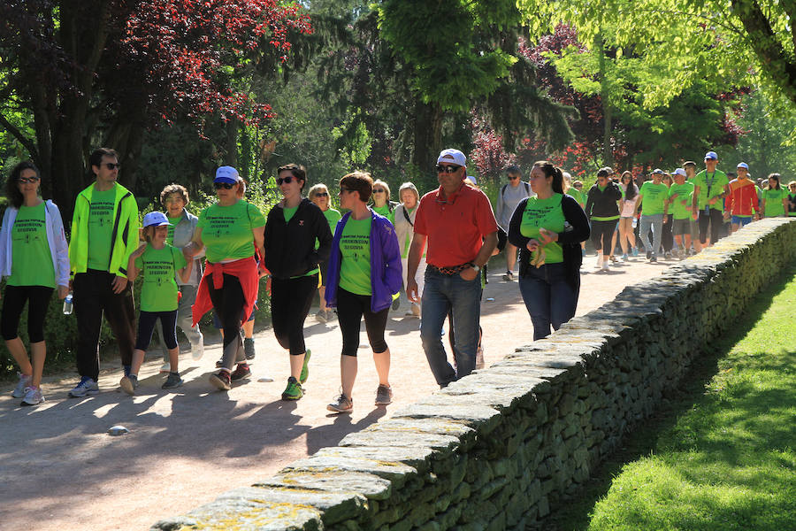 Fotos: III Marcha Popular Parkinson Segovia