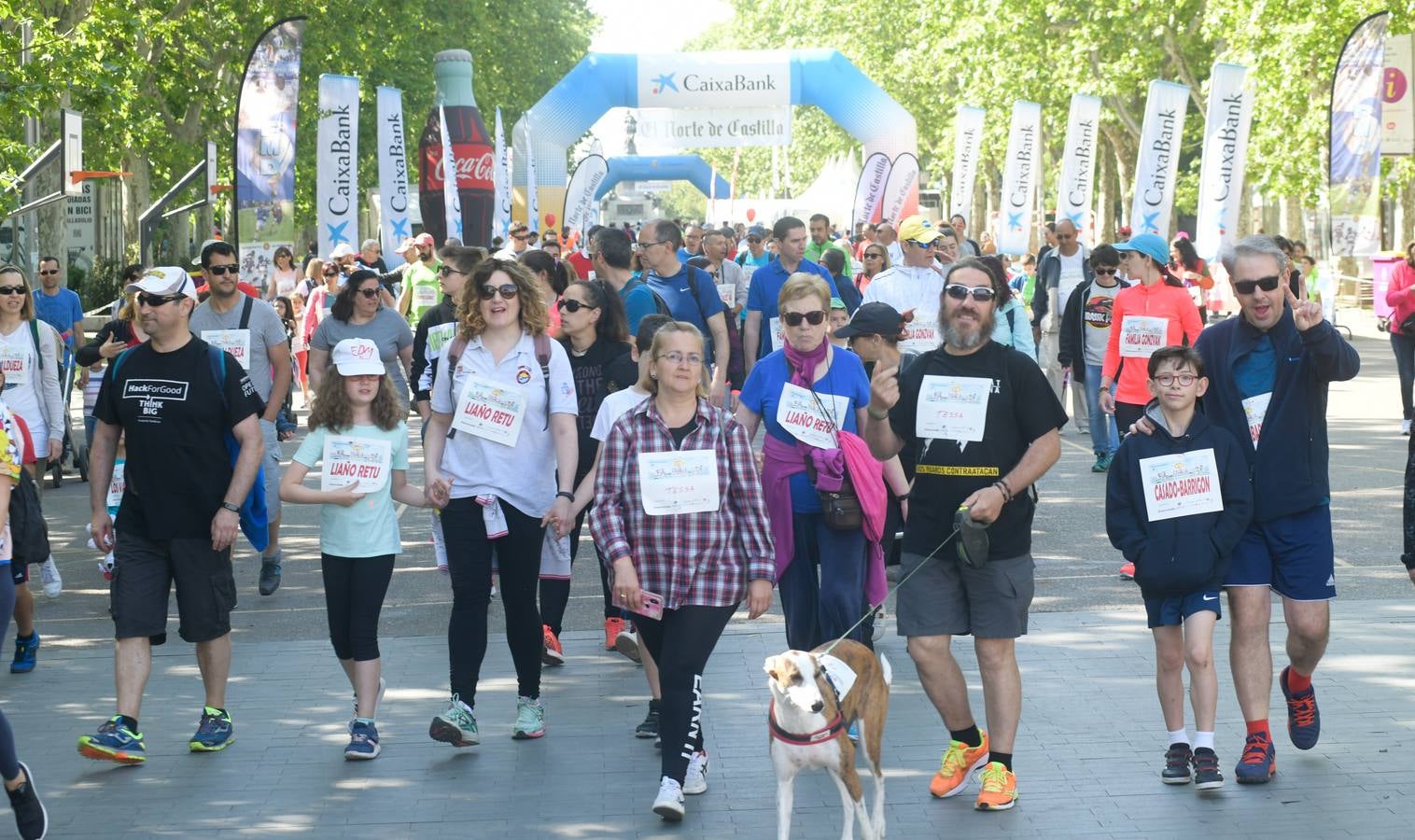 Más de 1.500 personas se han inscrito en esta marcha popular organizada de manera conjunta por El Norte de Castilla y por la Federación de Atletismo de Castilla y León con el espíritu de recorrer los algo más de cinco kilómetros del trazado por las calles más emblemáticas de la ciudad 