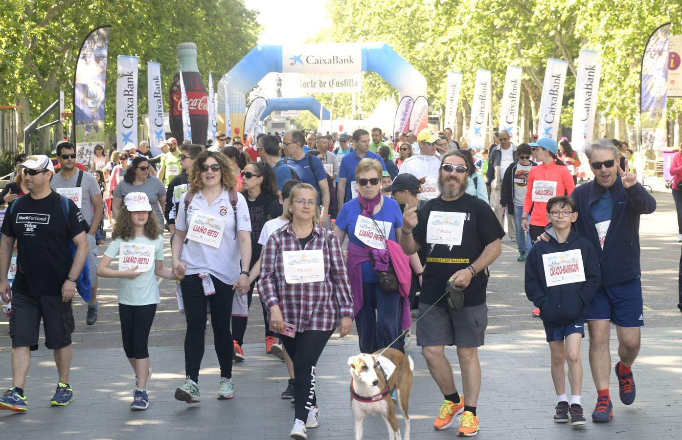 Más de 1.500 personas se han inscrito en esta marcha popular organizada de manera conjunta por El Norte de Castilla y por la Federación de Atletismo de Castilla y León con el espíritu de recorrer los algo más de cinco kilómetros del trazado por las calles más emblemáticas de la ciudad 