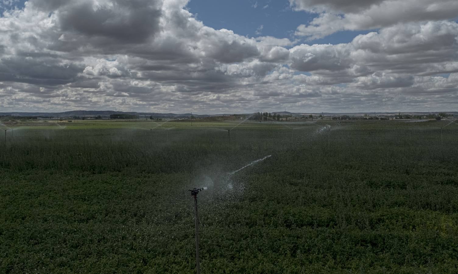 Fotos: Los colores del campo