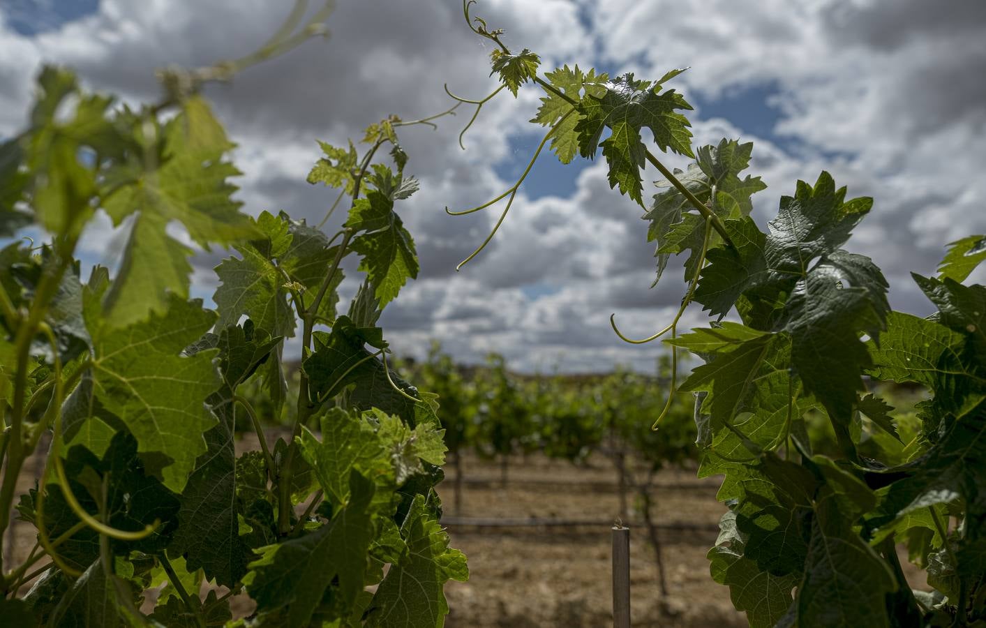 Fotos: Los colores del campo
