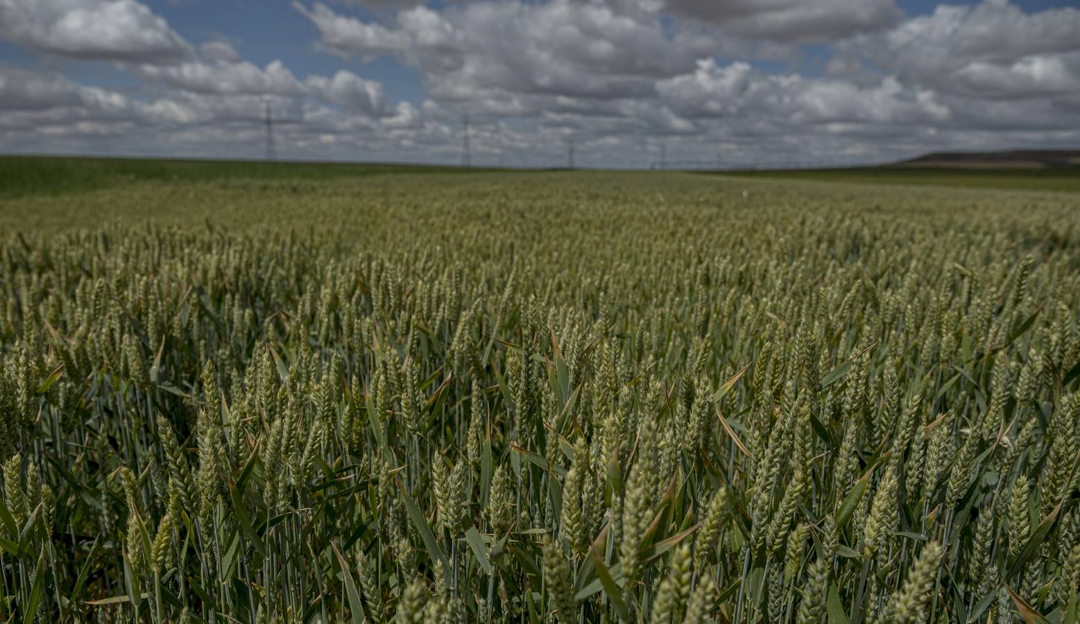 Fotos: Los colores del campo