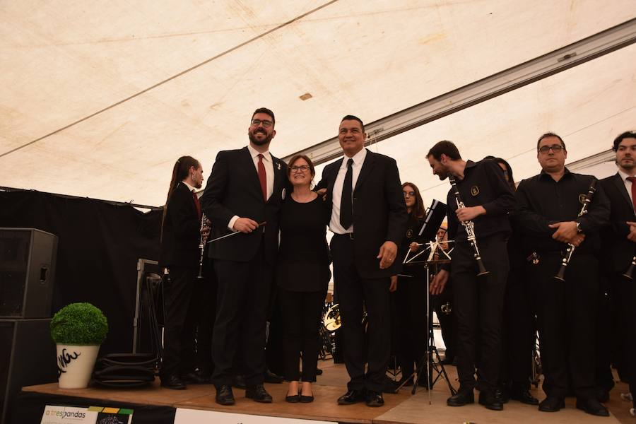 Fotos: Festival de bandas de música en Guardo