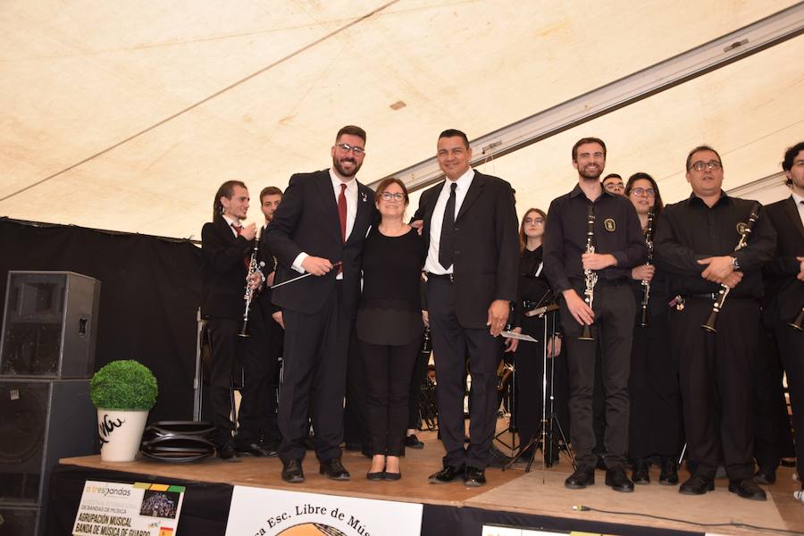 Fotos: Festival de bandas de música en Guardo