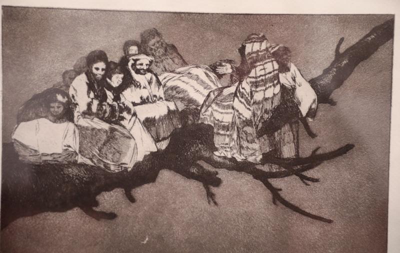 Las mujeres cotidianas de Goya, alejadas de la concepción de la mujer como musa del primer tercio del siglo XIX, centran los 85 grabados con mirada «feminista» del pintor aragonés que desde este jueves se exponen en Valladolid, por los que desfilan mujeres valientes, toreras o prostitutas