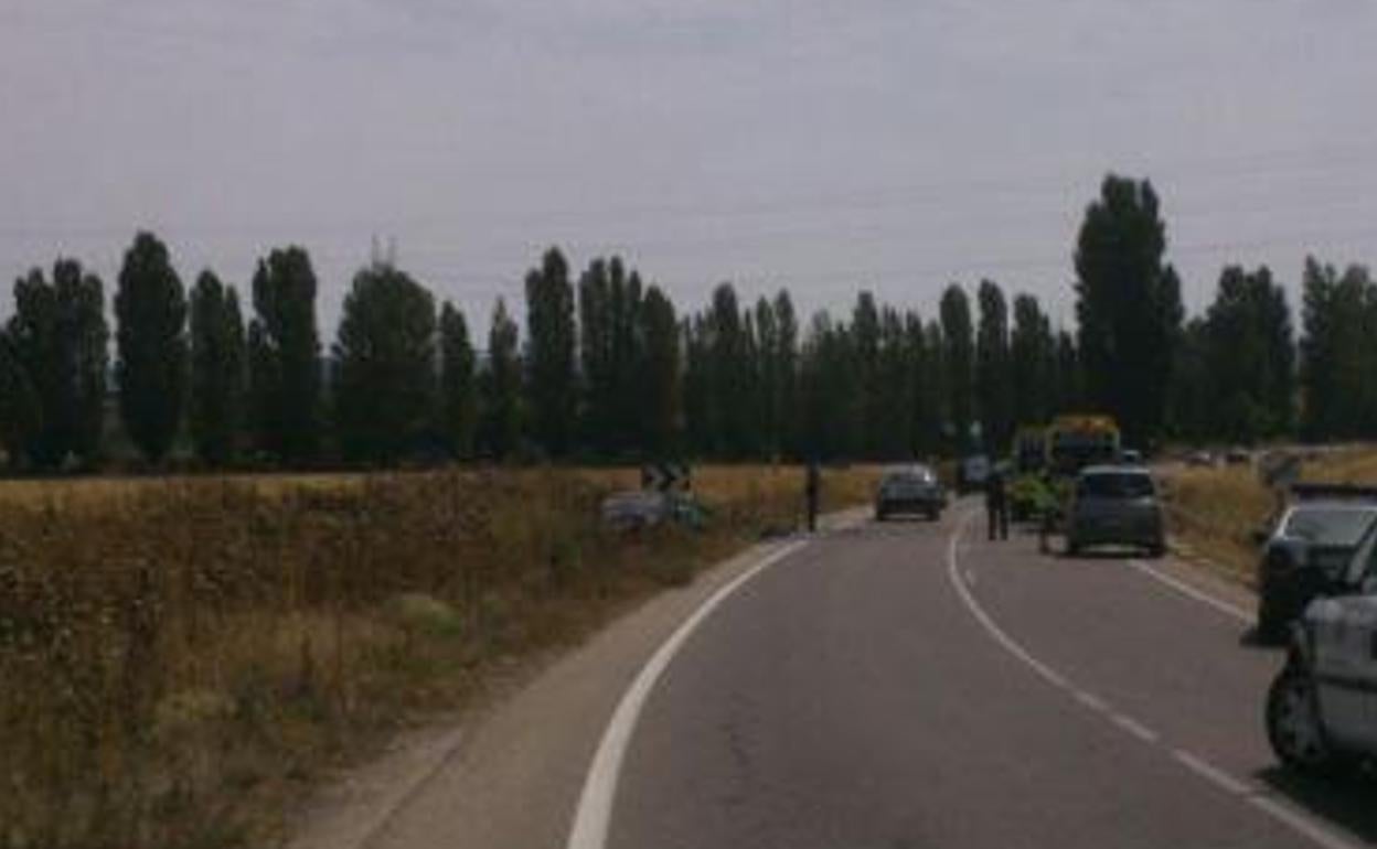 Carretera de Renedo, vía en la que se produjo la colisión con el animal. 