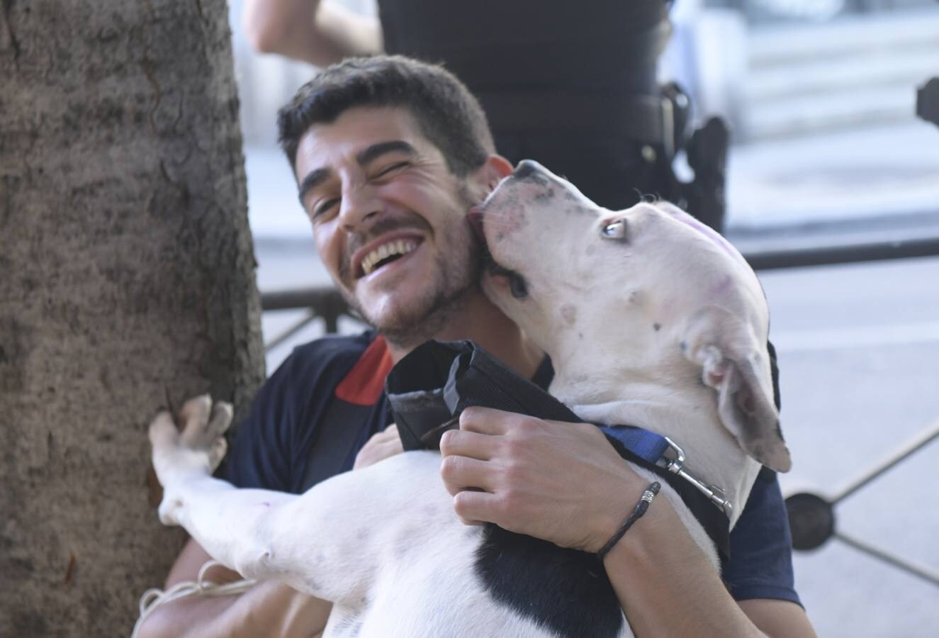 Fotos: Retiran a un perro de su dueño por no tener los permisos adecuados