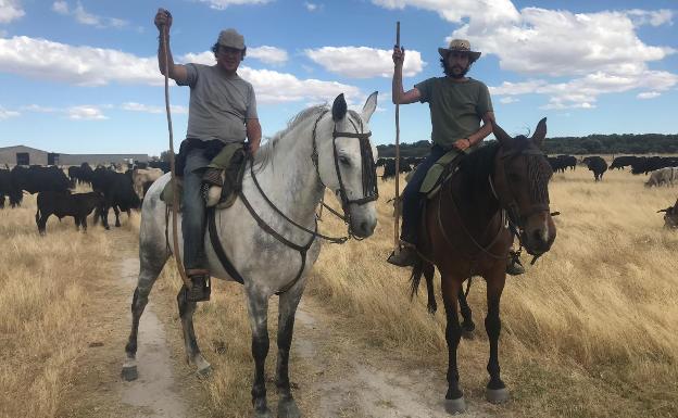 Diego (izq.) y Andrés Torres (dcha.), ganaderos, en su trayecto de Extremadura a Ávila estos días 