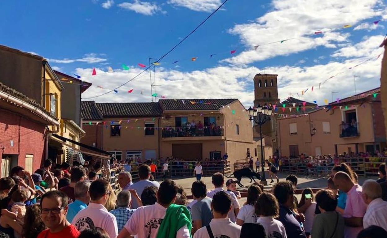 Vaquillas, en Villalón.