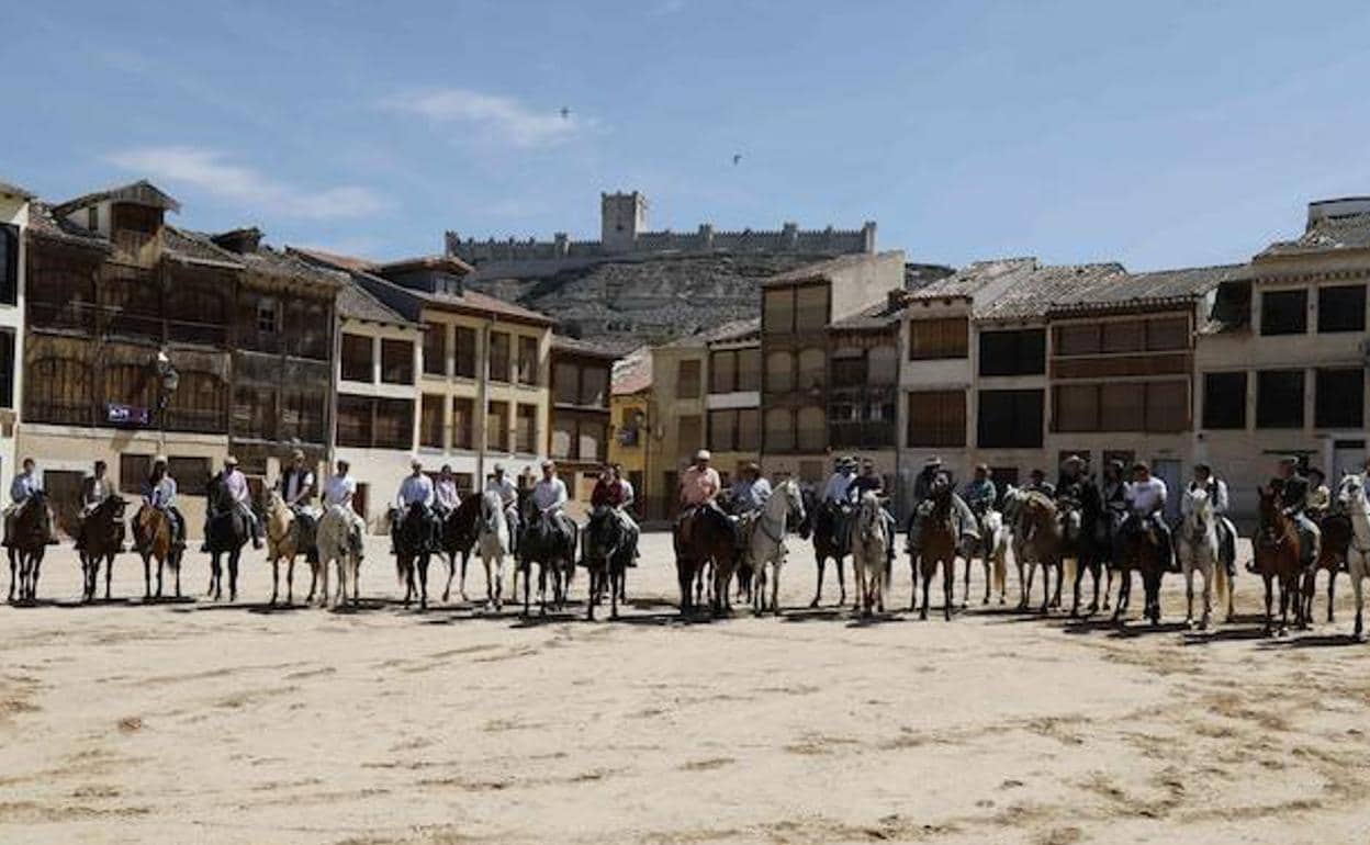 Los caballistas participantes en la feria del caballo de Peñafiel, en la plaza del Coso.