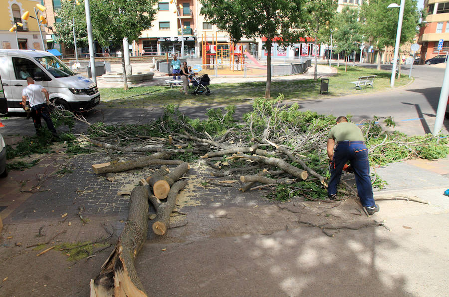 Fotos: Efectos del vendaval en Segovia y Torrecaballeros