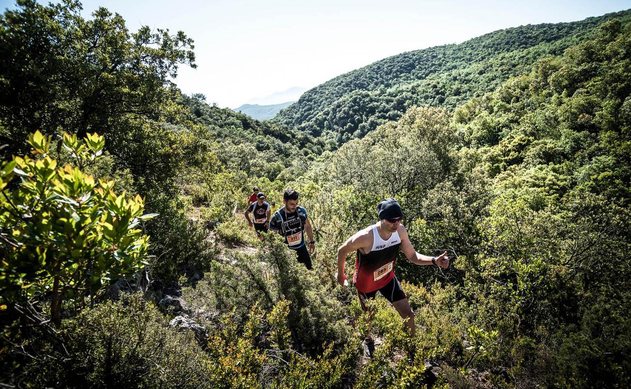 Varios corredores en la última Carrera por Montaña de Miranda de Ebro.
