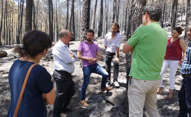 Luis Tudanca visita la zona afectada por los incendios en Ávila 