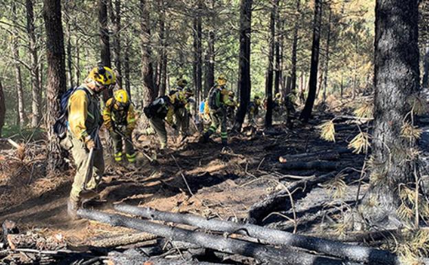 Efectivos trabajando ayer en el incendio de Gavilanes 