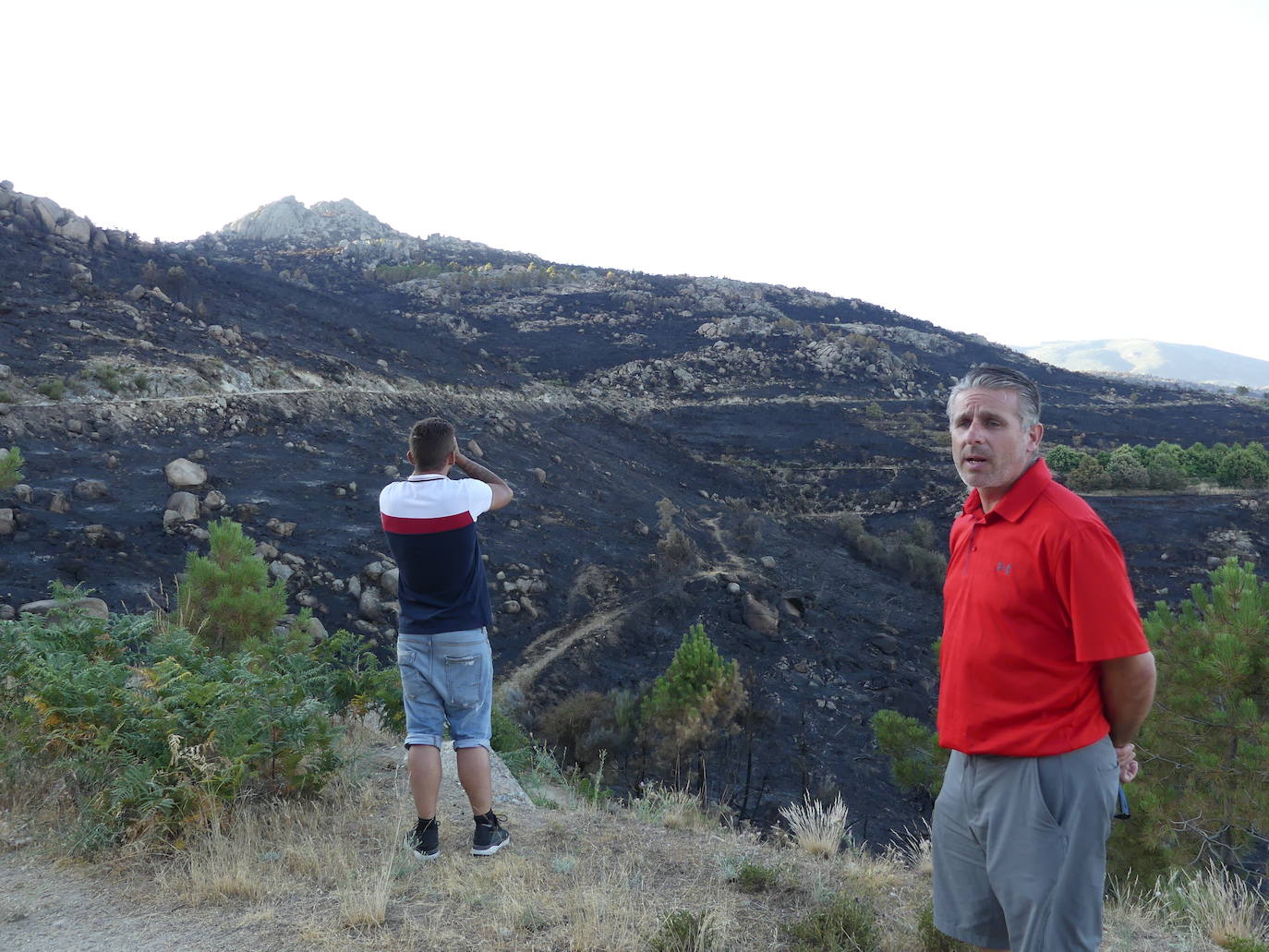 Las localidades abulenses de Pedro Bernardo y Gavilanes han visto arder su sierra durante seis días. A falta de una perimetración exhaustiva, las primeras cifras oficiales hablan de 1.400 hectáreas quemadas.