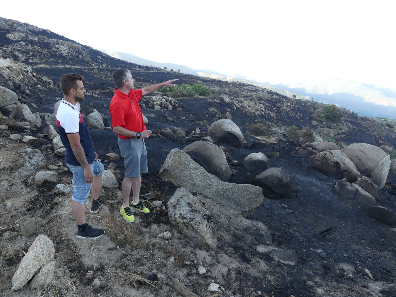 Las localidades abulenses de Pedro Bernardo y Gavilanes han visto arder su sierra durante seis días. A falta de una perimetración exhaustiva, las primeras cifras oficiales hablan de 1.400 hectáreas quemadas.