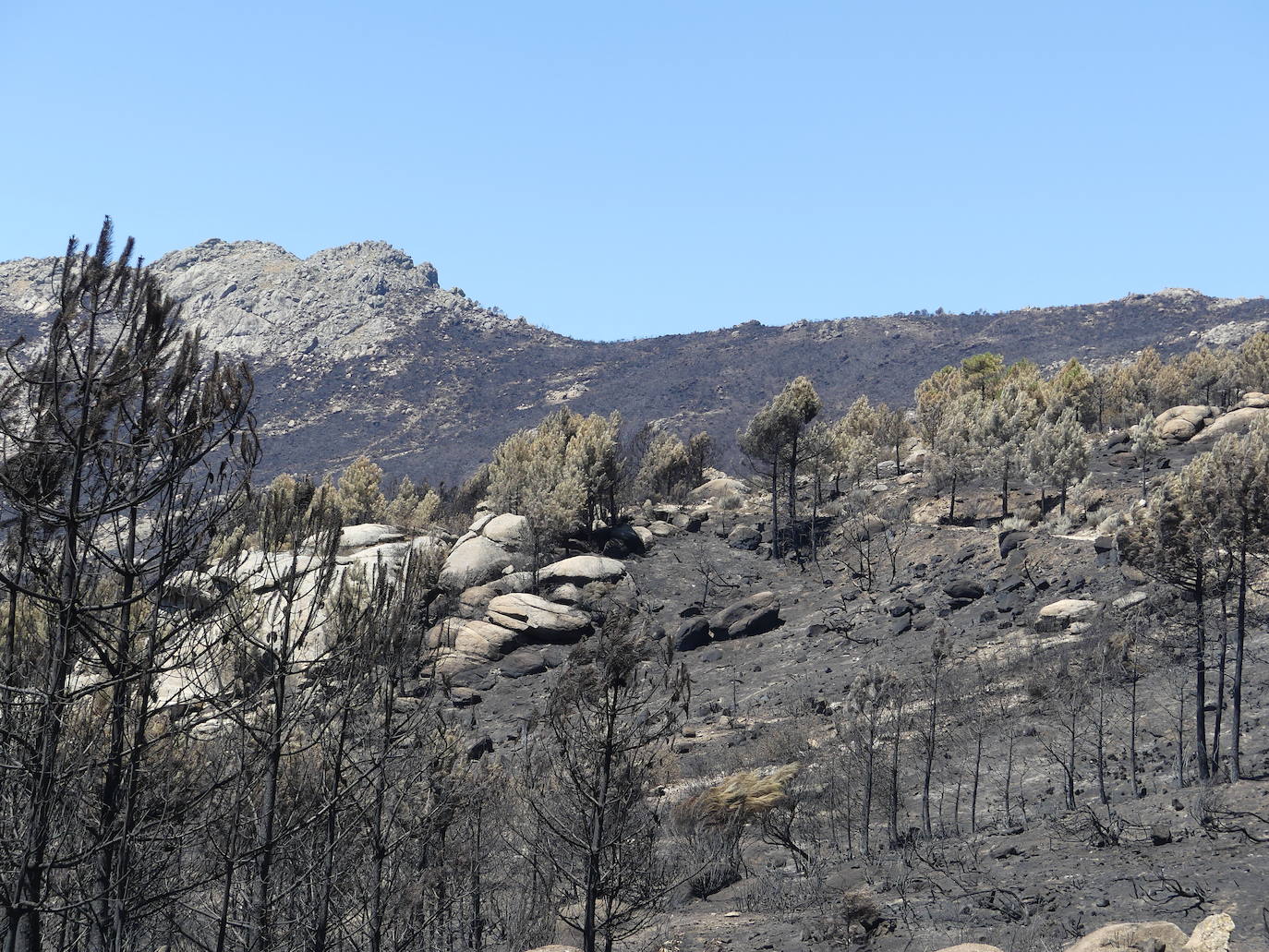 Las localidades abulenses de Pedro Bernardo y Gavilanes han visto arder su sierra durante seis días. A falta de una perimetración exhaustiva, las primeras cifras oficiales hablan de 1.400 hectáreas quemadas.