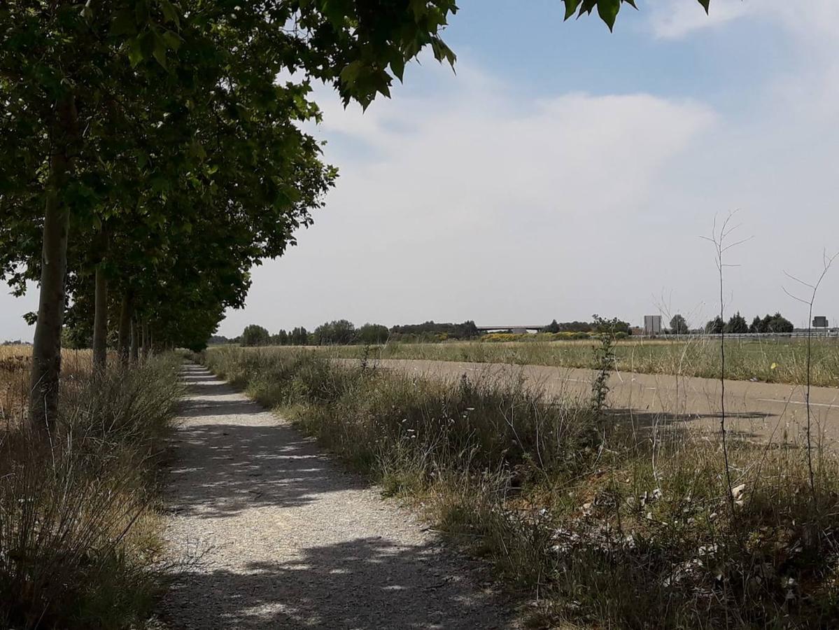 Diez negocios de Bercianos del Real Camino y El Burgo Ranero se unen para exigir a las administraciones las indicaciones necesarias para señalizar el Camino Francés y la Vía Trajana.