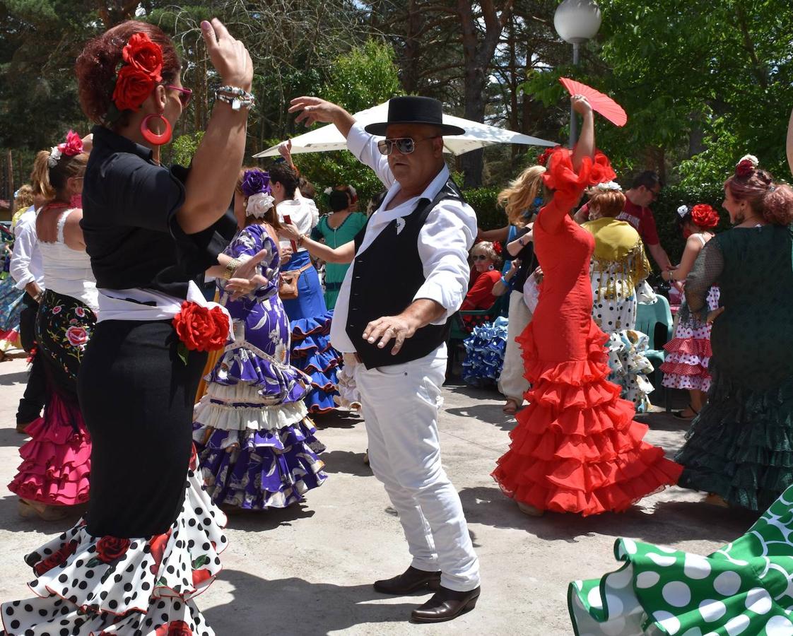 Fotos: V Feria de El Rocío en Aguilar de Campoo