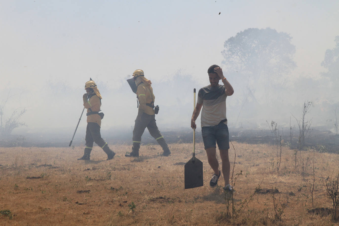 Fotos: Incendio en Trescasas (1)