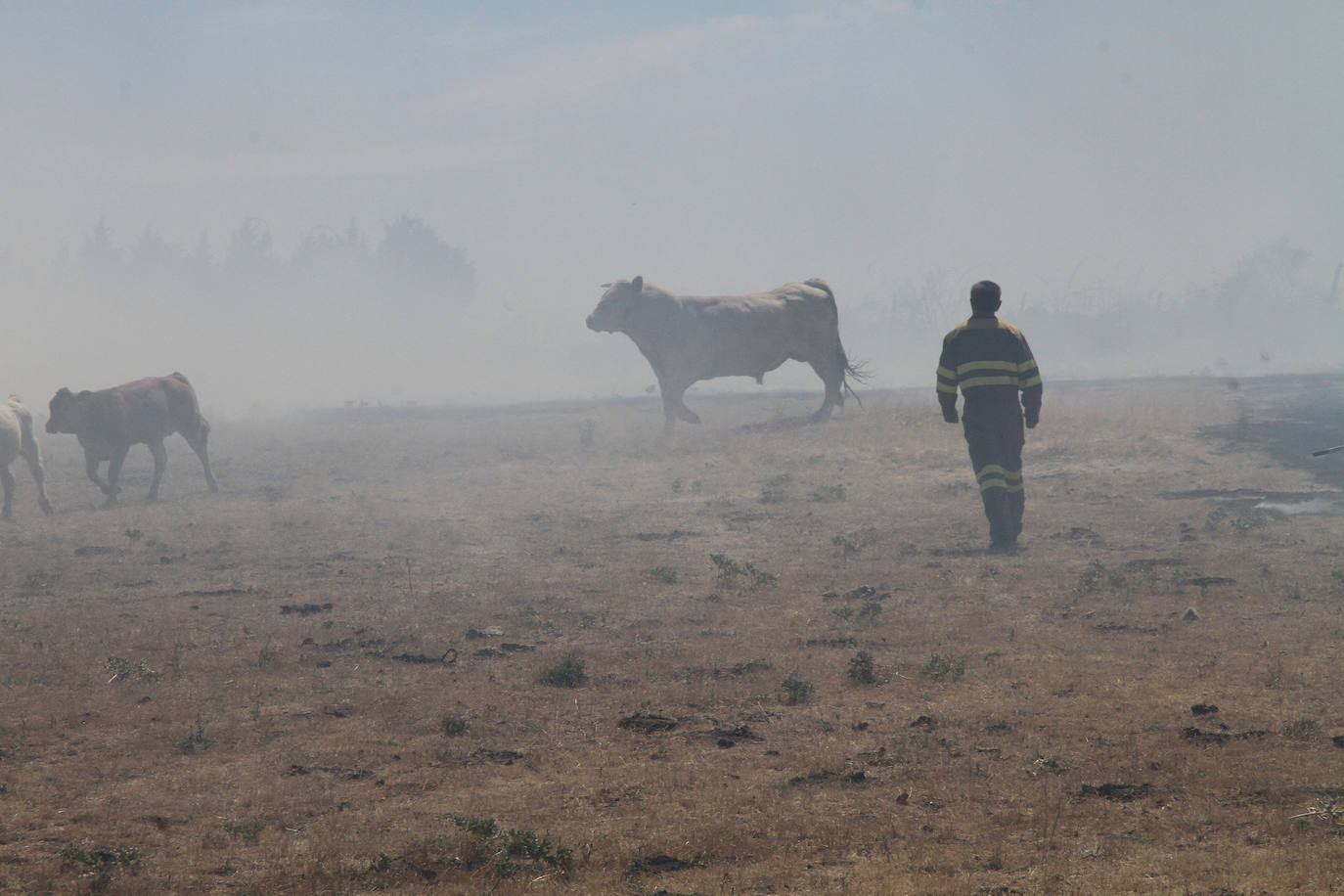 Fotos: Incendio en Trescasas (y 2)