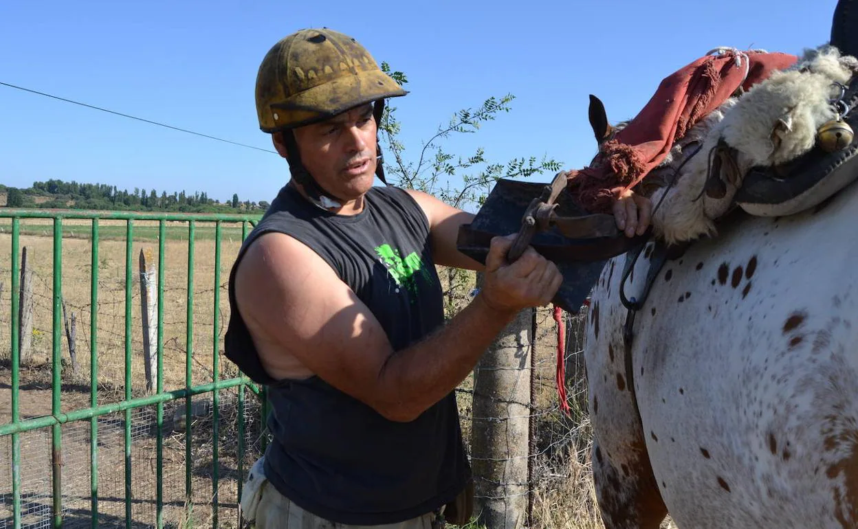 José Ángel, conocido como 'Cañero', muestra los estribos mientras apareja a su caballo 'Apache'. 